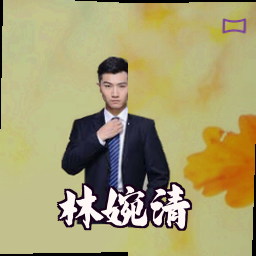 林婉清